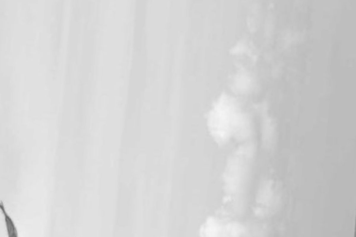 Photographer and musician collaborating on an artist website