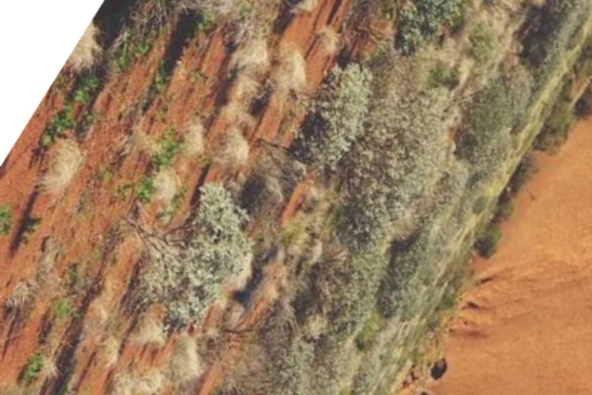 Cinematic still from an animated film by HUTCH