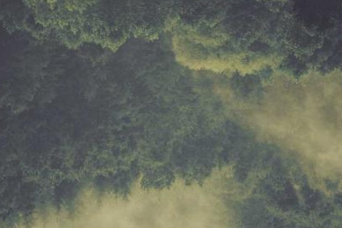 Photography portfolio website designed by HUTCH